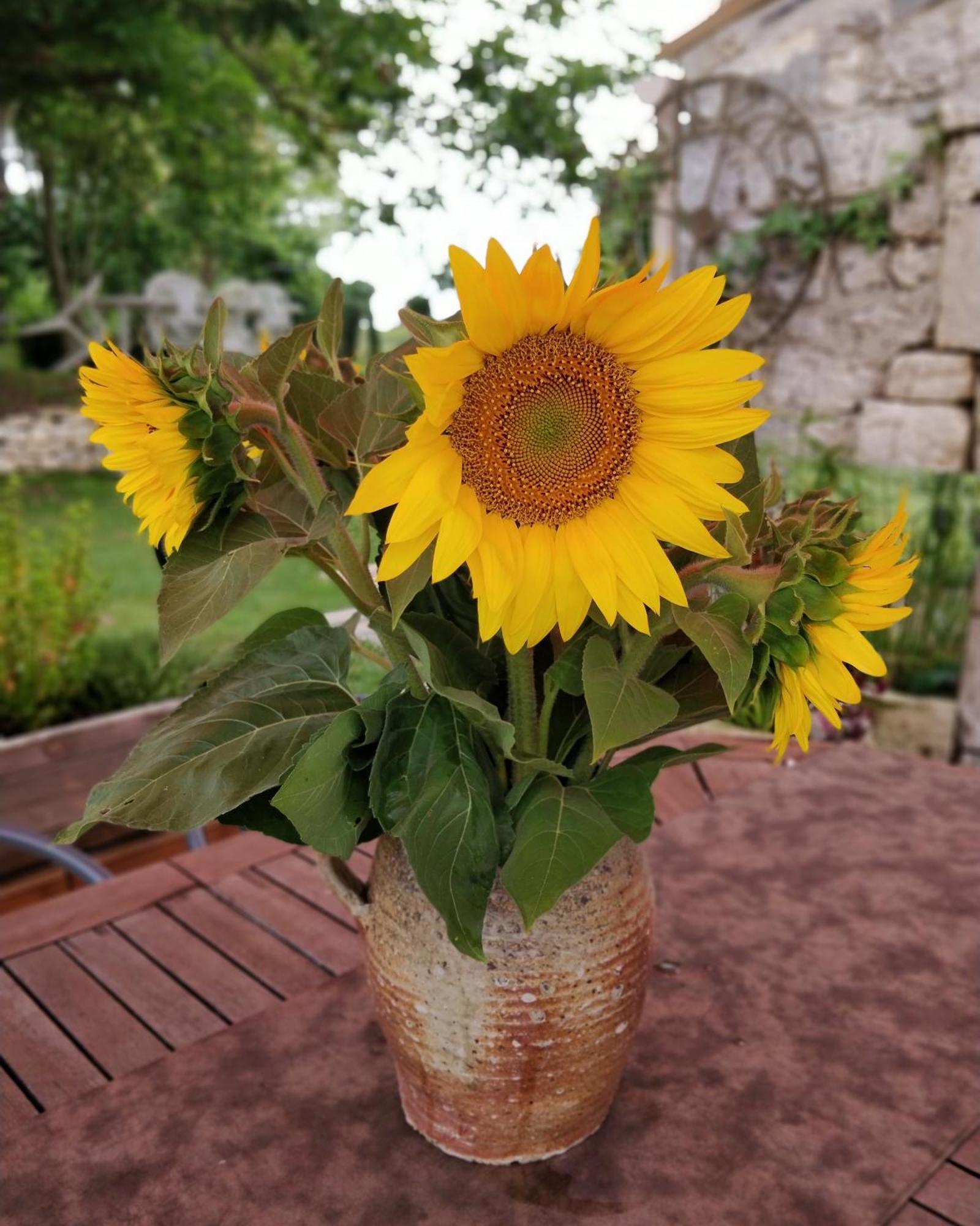 Gite De La Petite Vallee Saint-Savinien Cameră foto